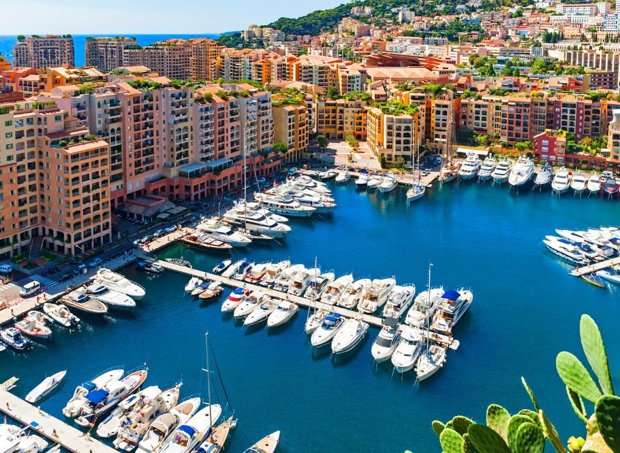 Image hover effect image