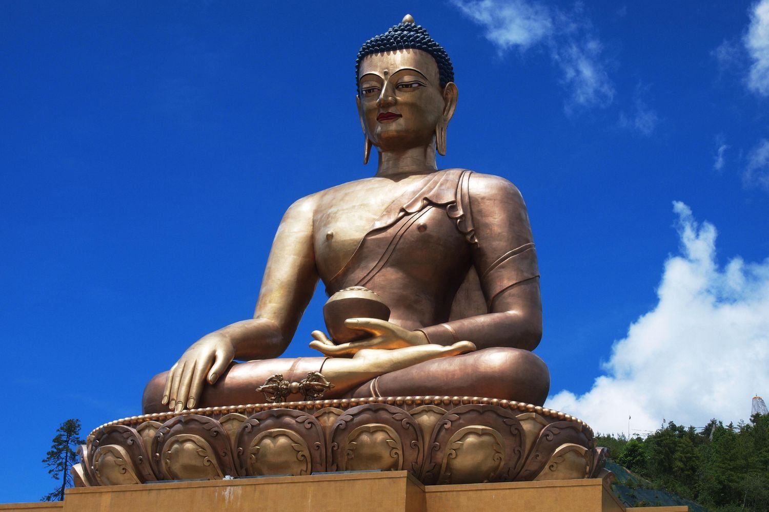 Untitled design (87)